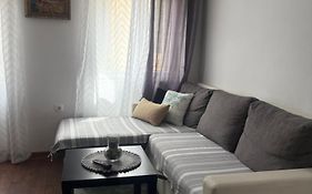Mint Apartments